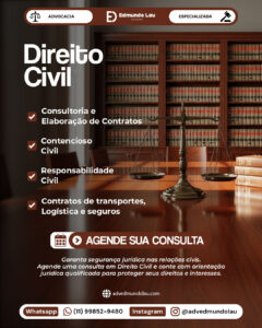 Direito Civil